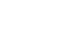 ico_software_training.png